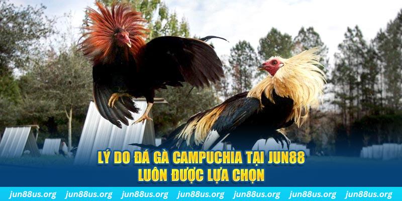 saowin tài xỉu nổ hũ là gì