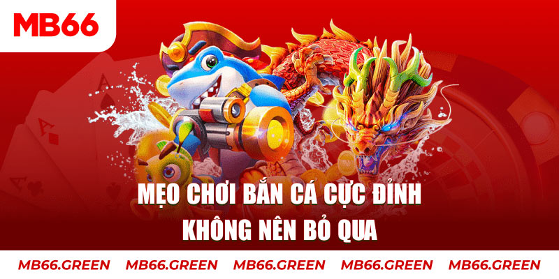 saowin casino ở đâu