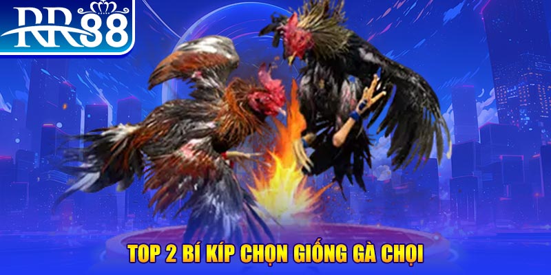 saowin đăng nhập poker số 1