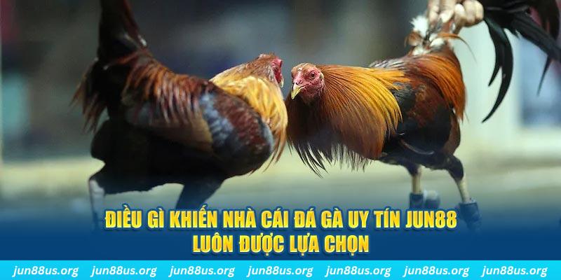 saowin qq88 nổ hũ bắn cá