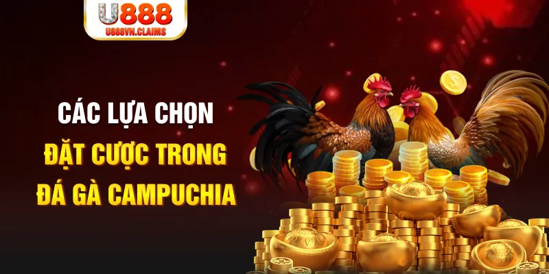 saowin SW Xổ Số