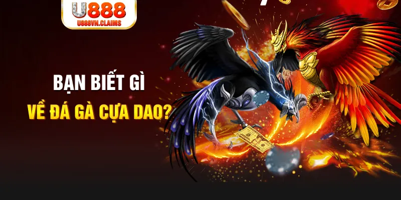 saowin xổ số kiến thiết
