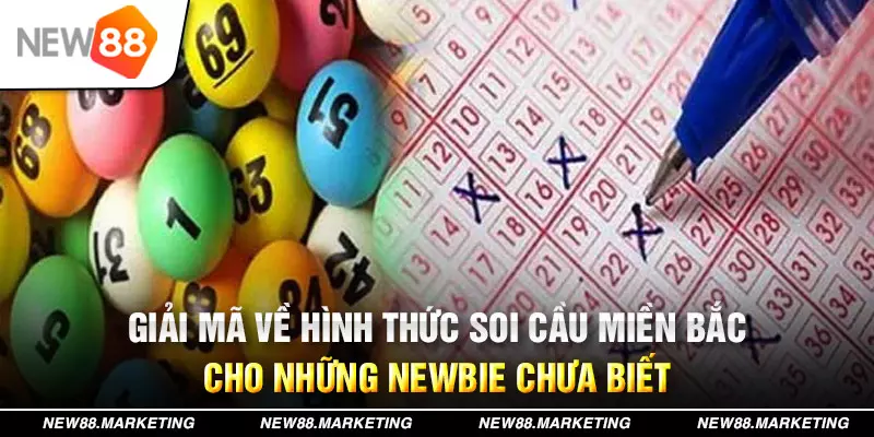 saowin đăng nhập mậu binh live