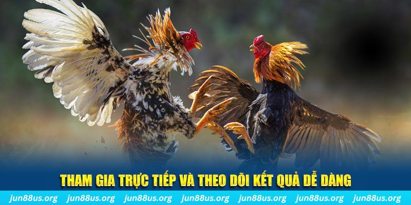 đá gà trực tiếp bình luận viên