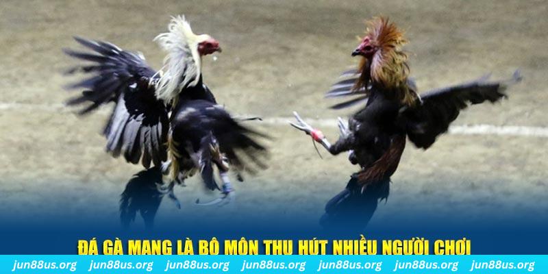 saowin xổ số cà mau
