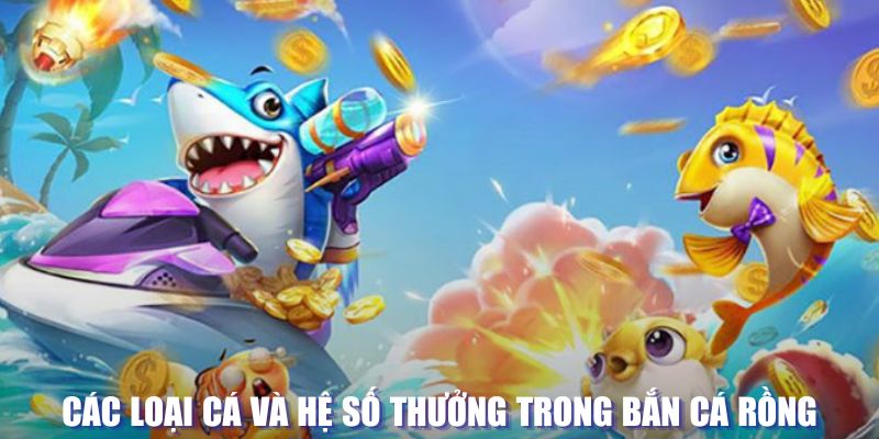 saowin loi game dot kich ket noi may chu that bai