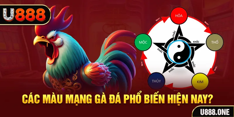 saowin đăng nhập mậu binh