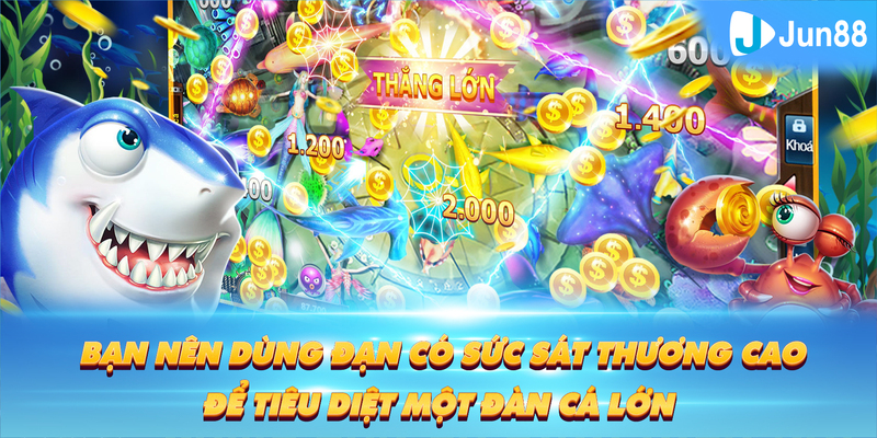 saowin Tung Đồng Xu