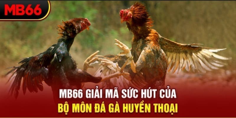 saowin Phi Đội Ưu Tú