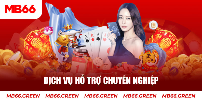 saowin AOG Đá Gà
