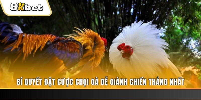 saowin Tài Xỉu 2