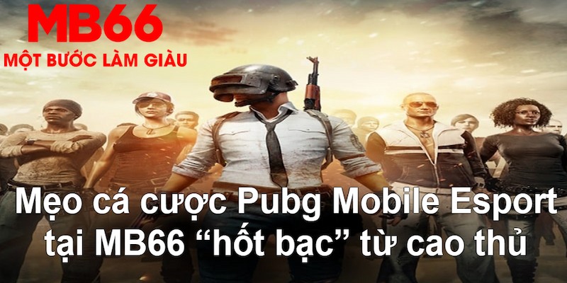 saowin gà chọi mộc hóa