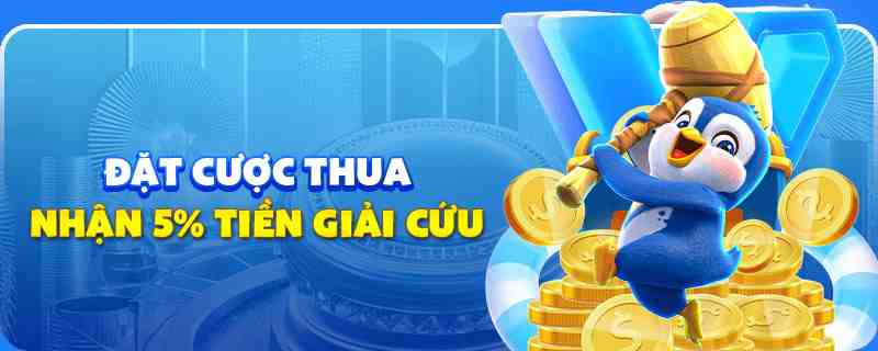 saowin gà chọi cu cần