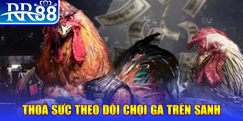 saowin đá gà 88.com