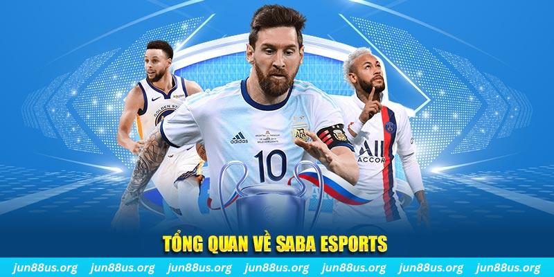 saowin gà chọi c1 tv trực tiếp hôm nay