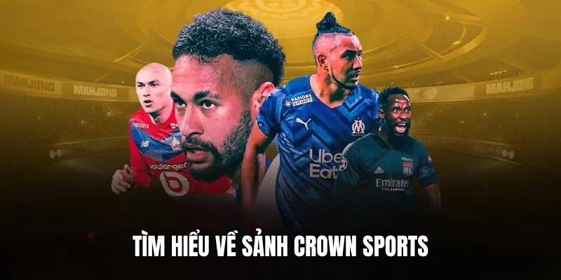 saowin đá gà trực tiếp